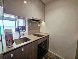 Avenue South Residence (D3), Apartment #569562451